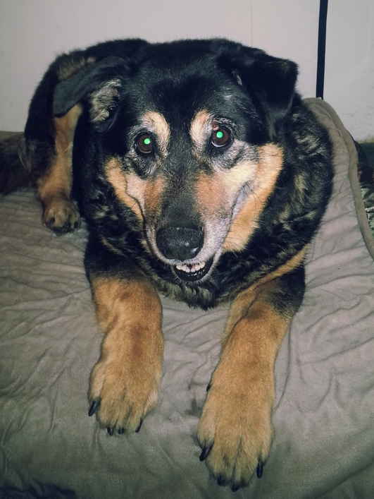 Otto