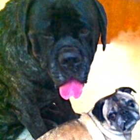 Milo & Oscar