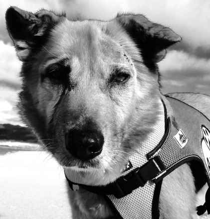 Chaplin