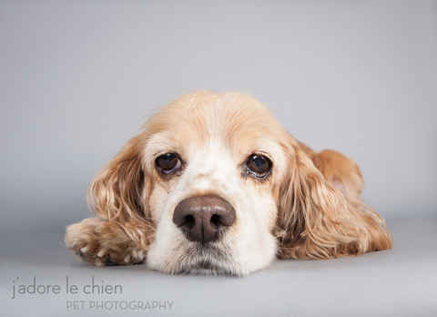 Chloe