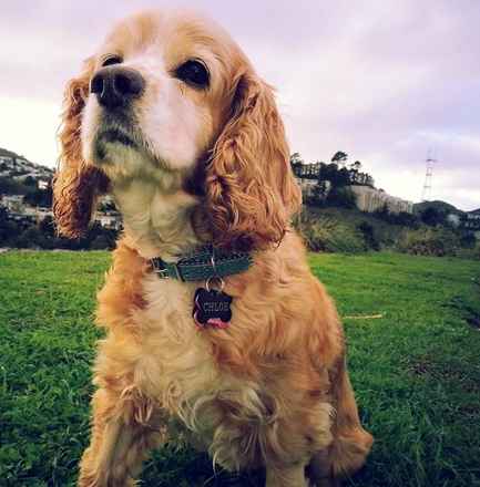 Chloe