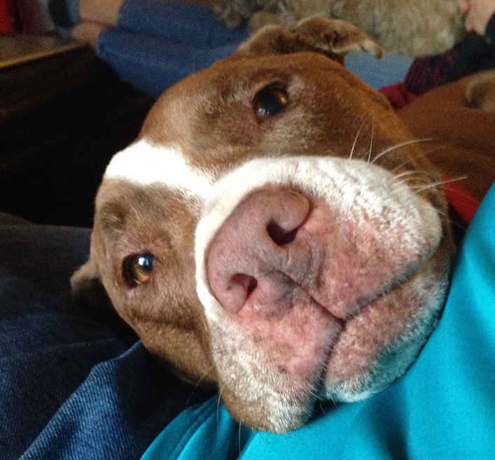 Lola