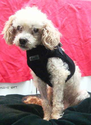 Sonny