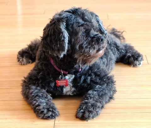 Rosie