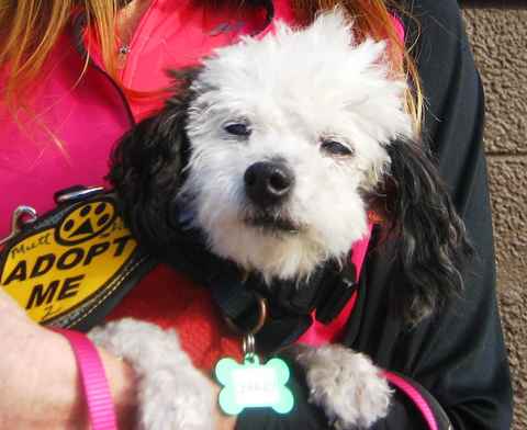 Charley