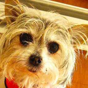 Tinker