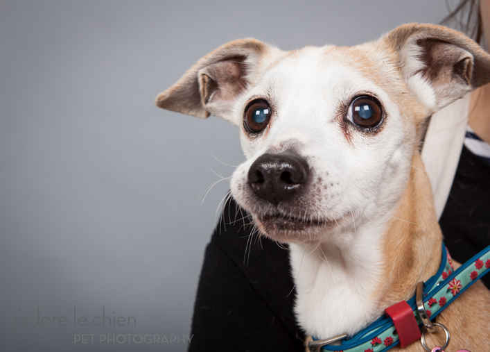 Chiquita