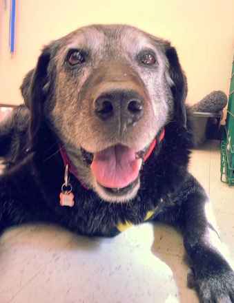 Hudson