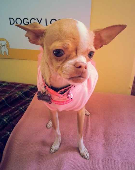 Taffy