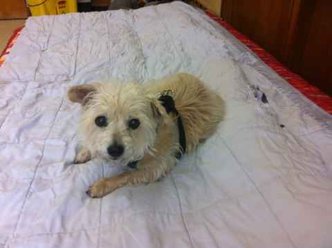 Macy
