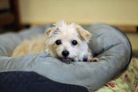 Macy