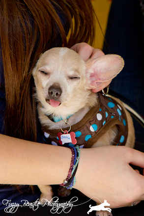 Sookie