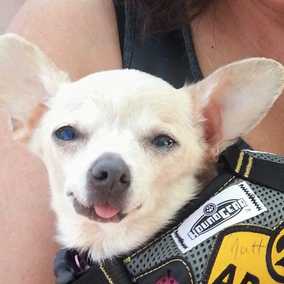 Sookie