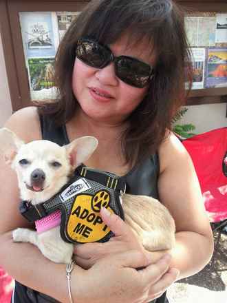 Sookie