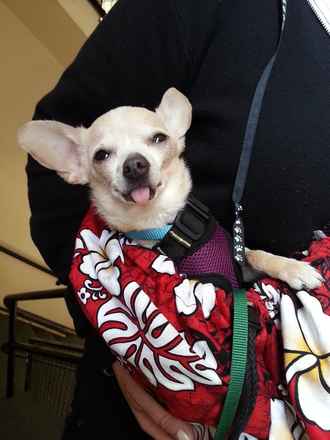 Sookie