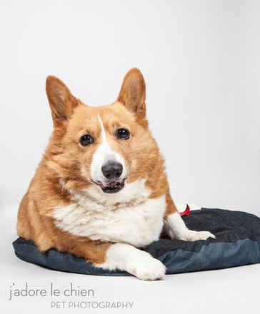 Kurri