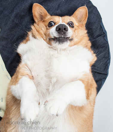 Kurri