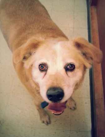 Mickey