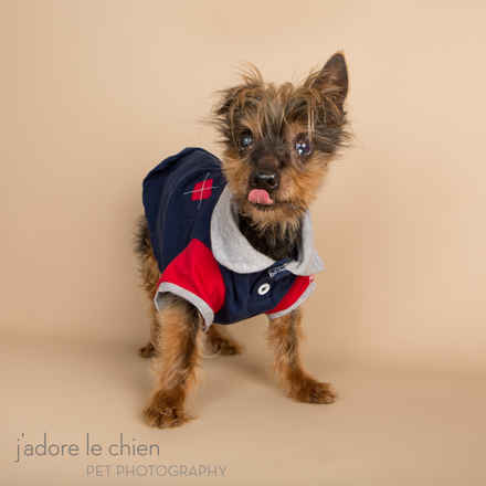 Henry