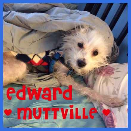 Edward
