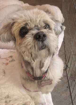 Maggie