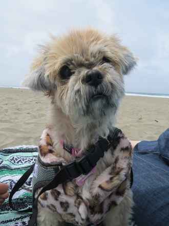 Maggie