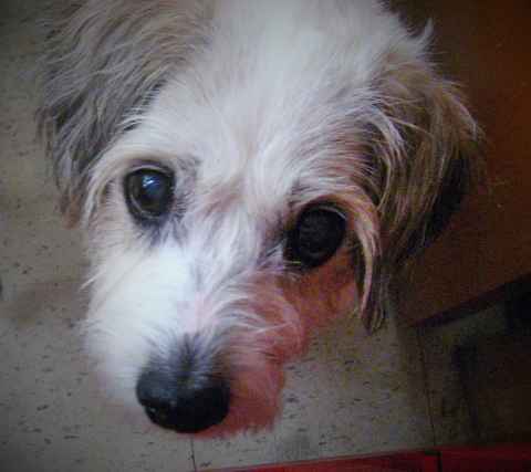 Roger