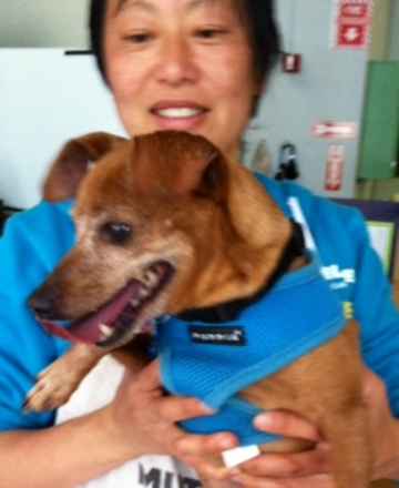 Lickity Split