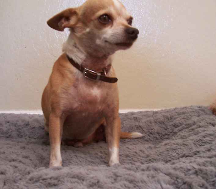 Nikko