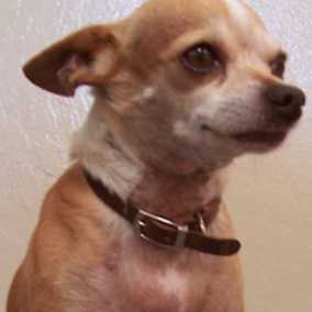 Nikko