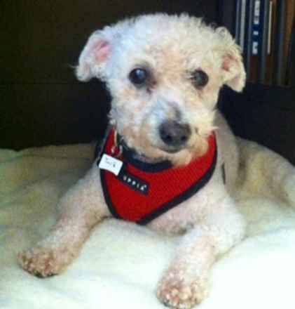 Tuck