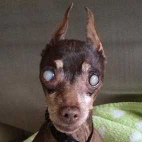 Betty Jo