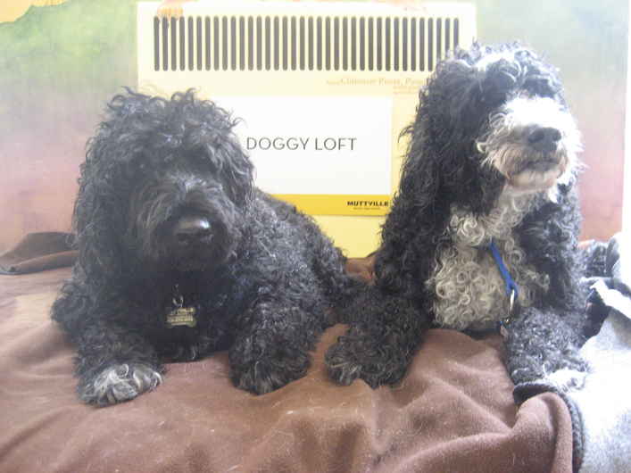 Bix and Miles