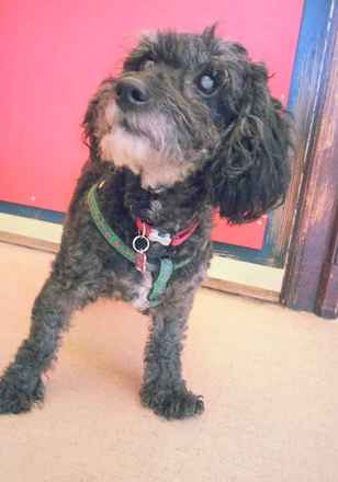 Agnes