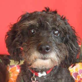 Agnes