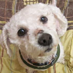 Lulu Aka Lurline