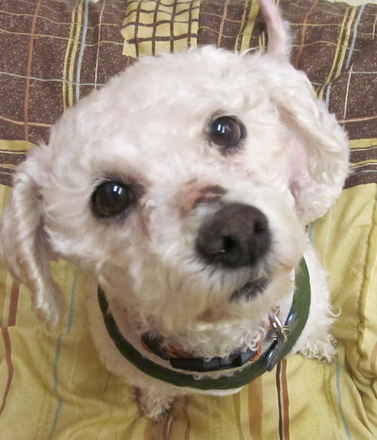 Lulu Aka Lurline