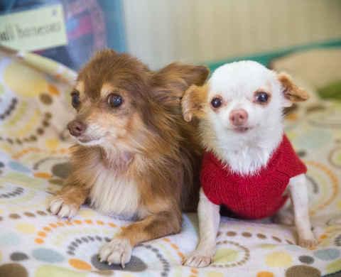 Fred & Ethel