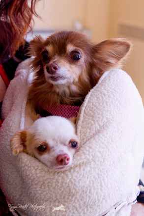 Fred & Ethel