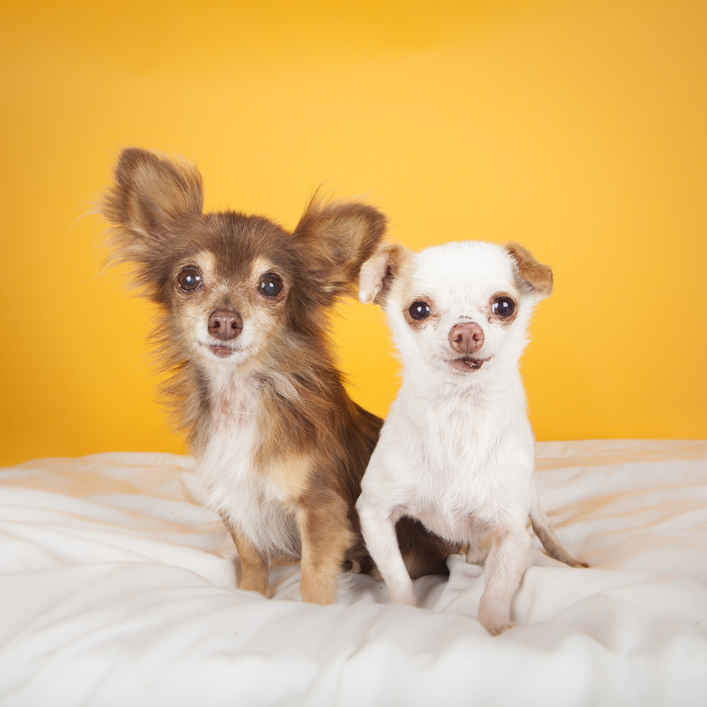 Fred & Ethel