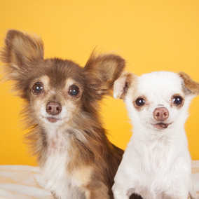 Fred & Ethel