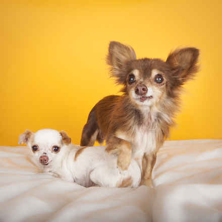 Fred & Ethel