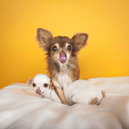 Fred & Ethel