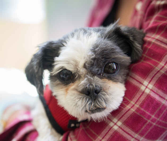 Maddie