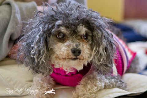 Molly