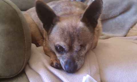 Quincy