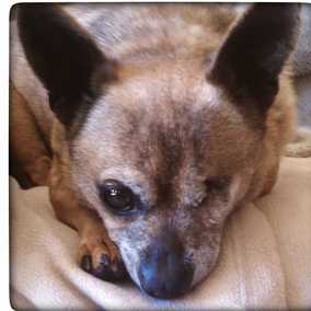 Quincy