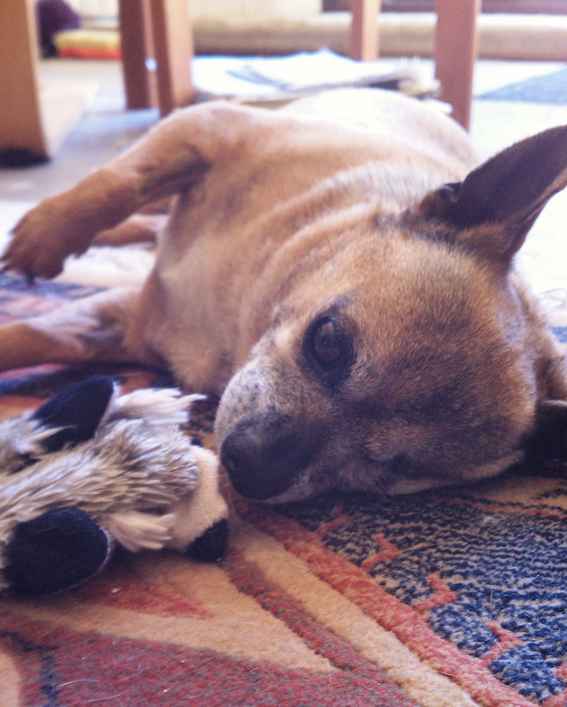 Quincy