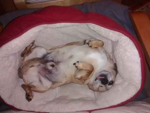 Quincy