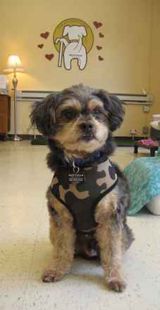 Baxter